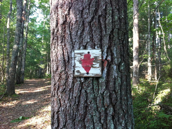 Old BISO signage, Big South Fork - 39